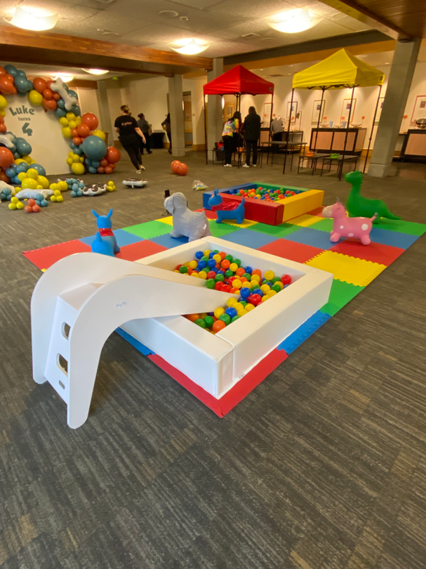 BALL PIT SLIDE