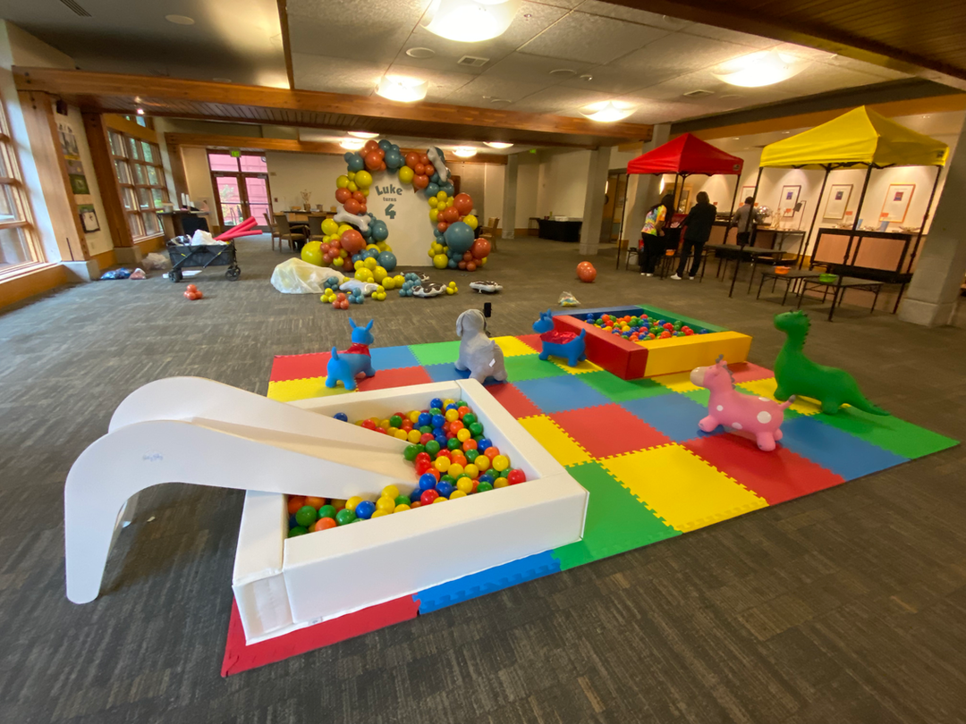 BALL PIT SLIDE