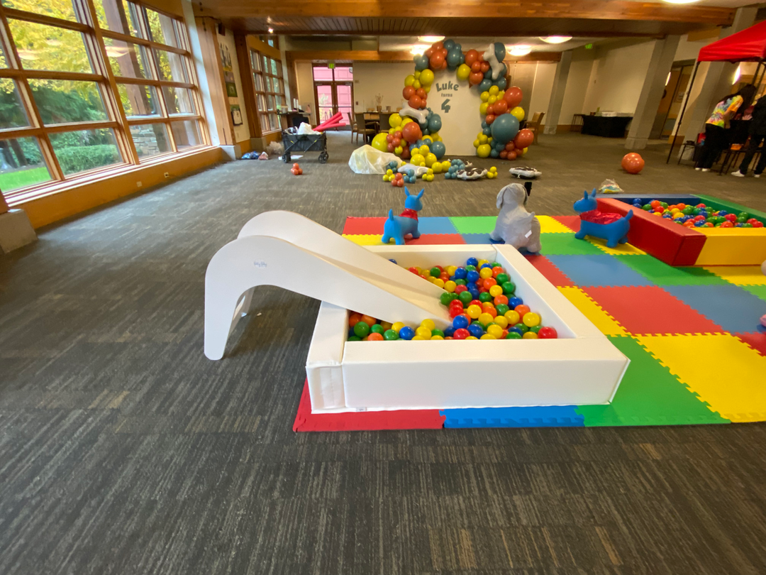 BALL PIT SLIDE