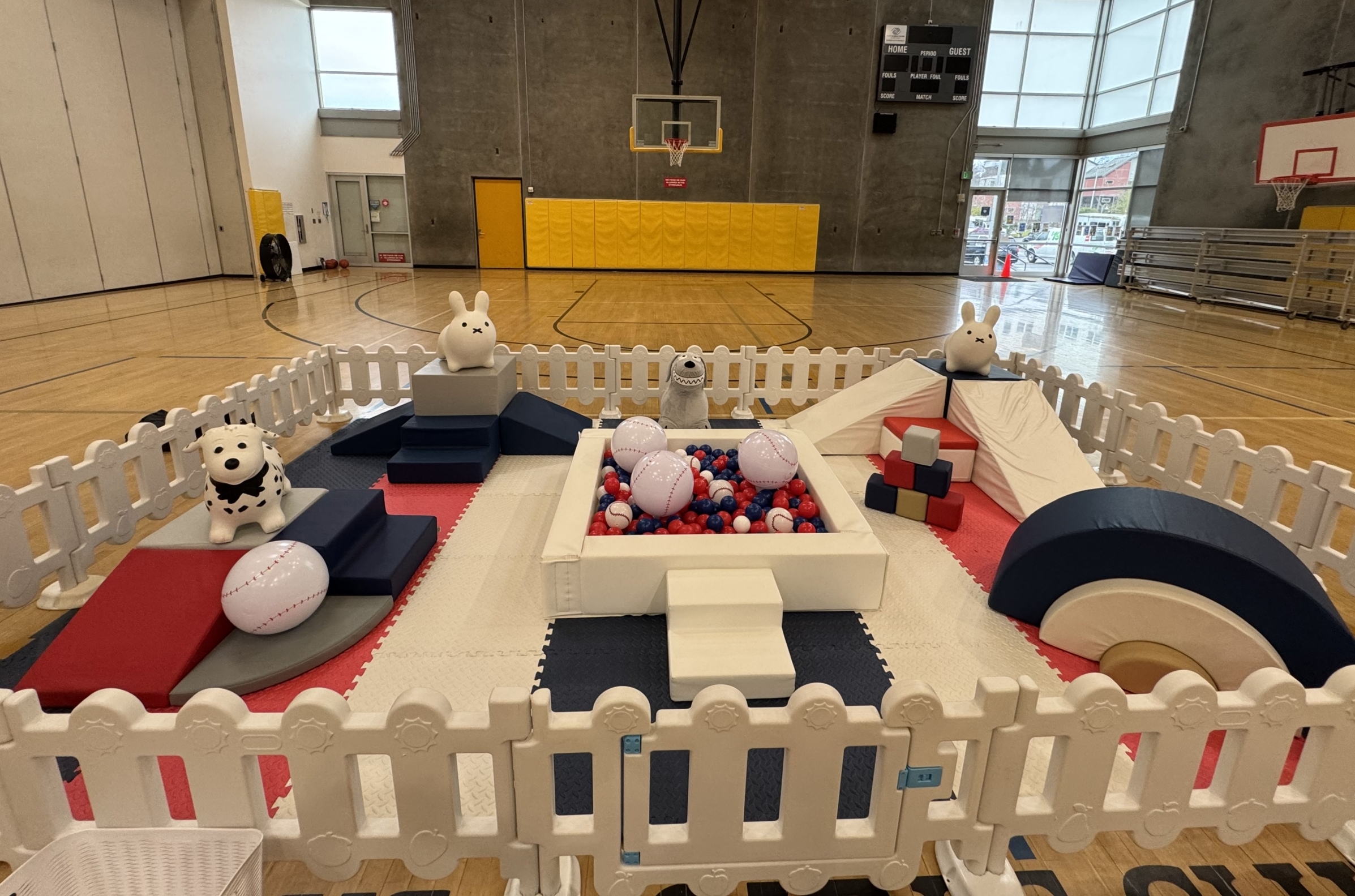 THE SEATTLE SPORTS FAN