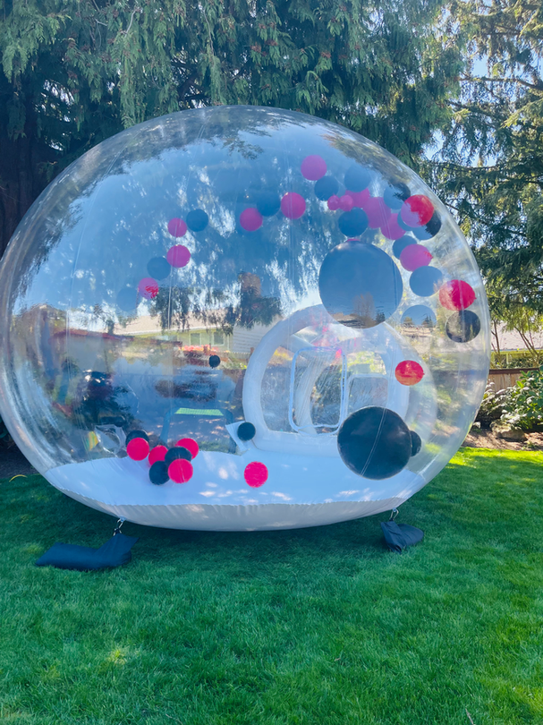 THE BUBBLE HOUSE