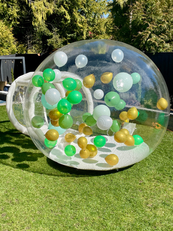 THE MINI BUBBLE