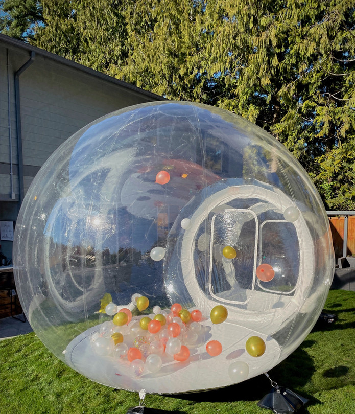 THE BUBBLE HOUSE