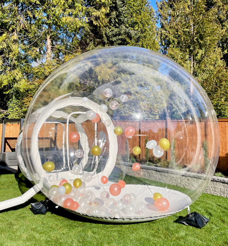 THE BUBBLE HOUSE