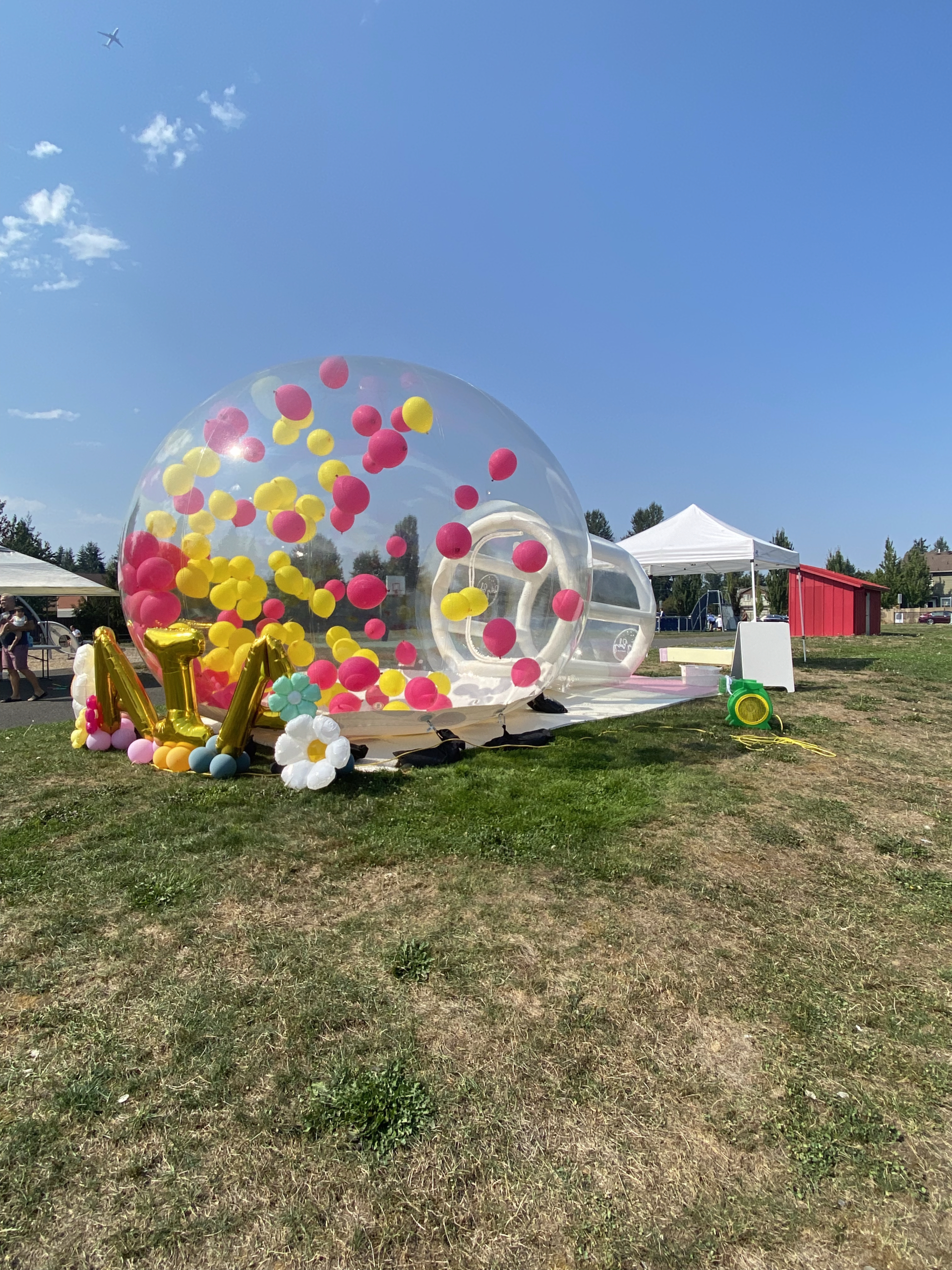 THE BUBBLE HOUSE