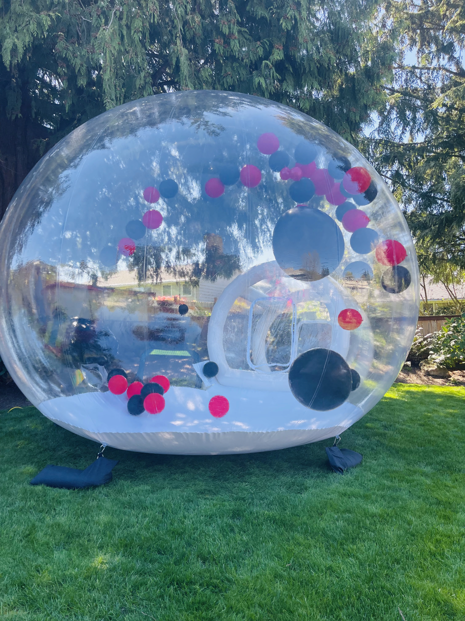 THE BUBBLE HOUSE