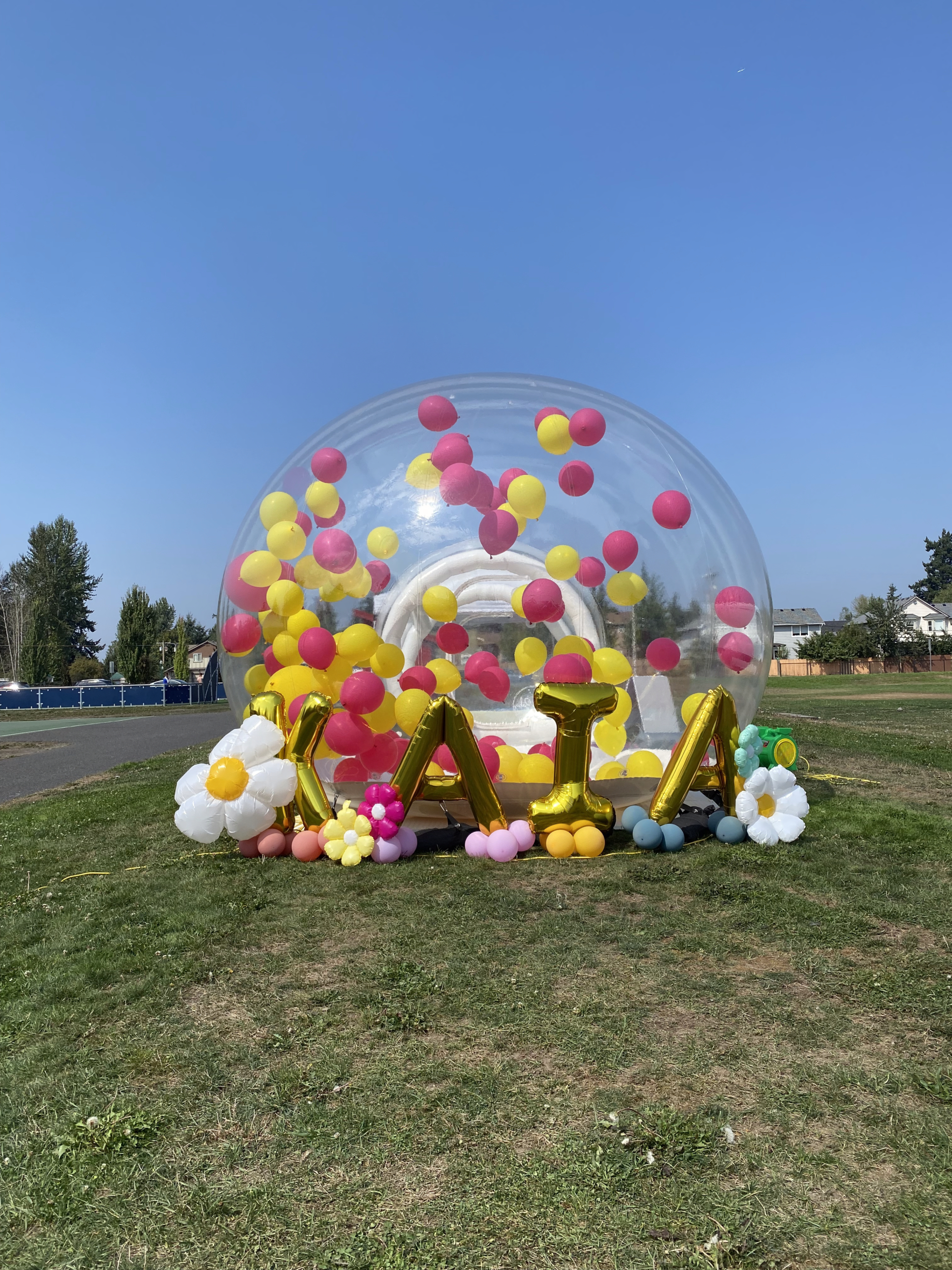 THE BUBBLE HOUSE
