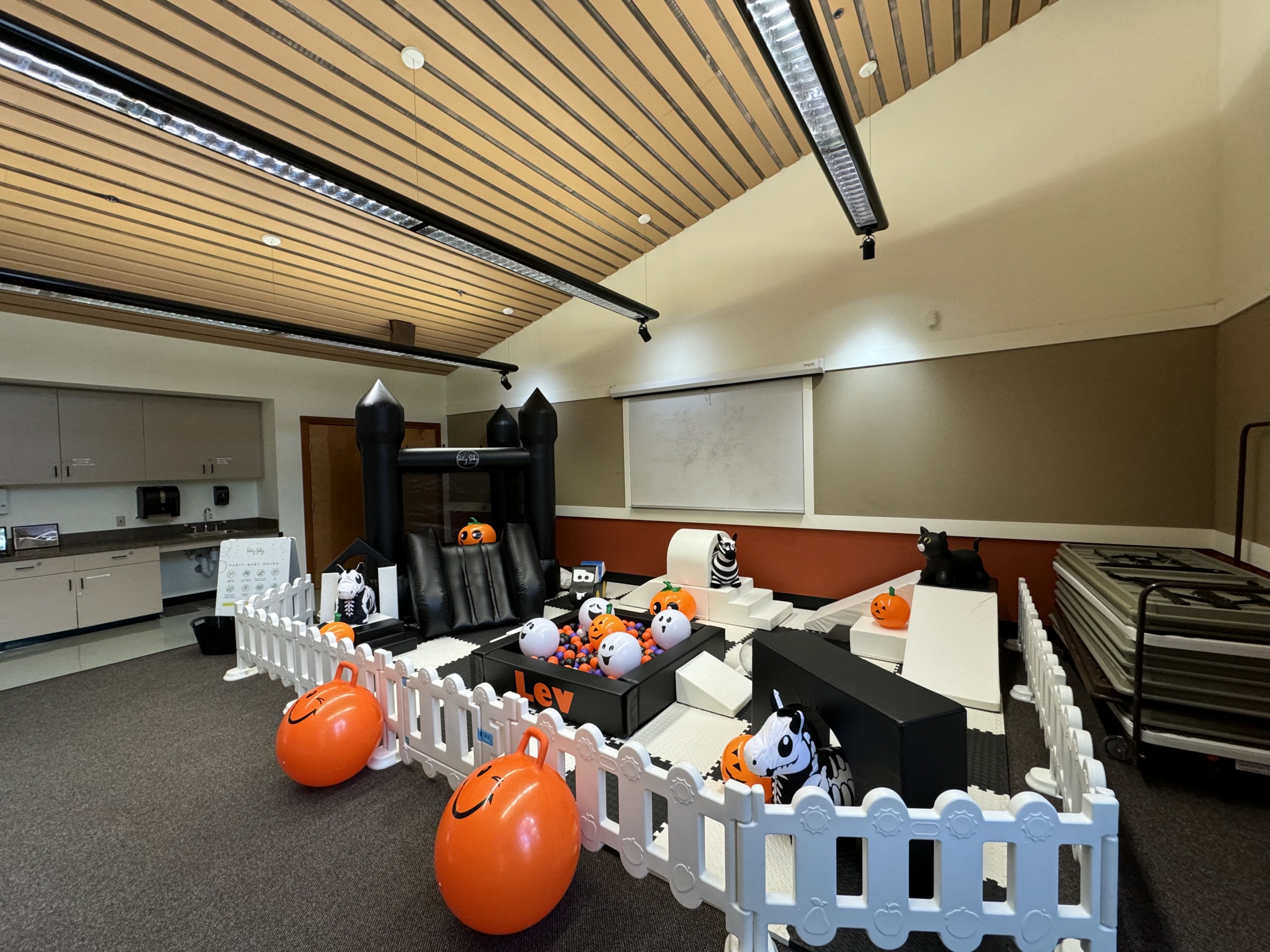 THE LUXE – LITTLE STORM CLOUD