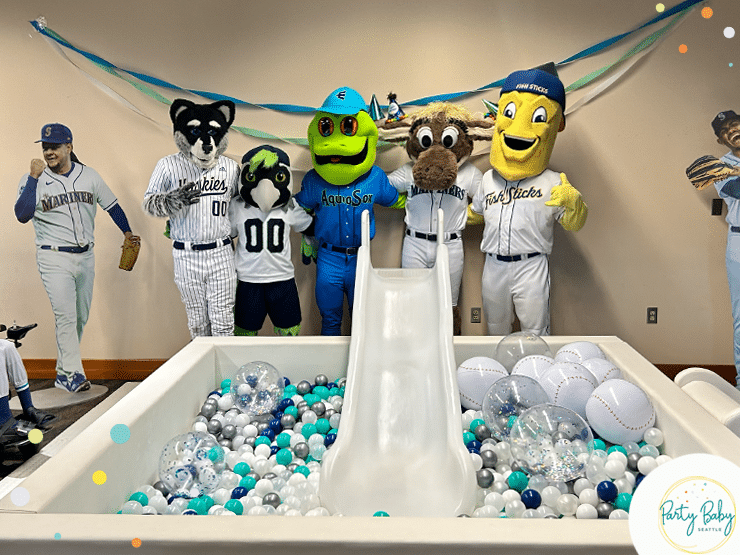 SUPER LUXE BALL PIT WITH SLIDE