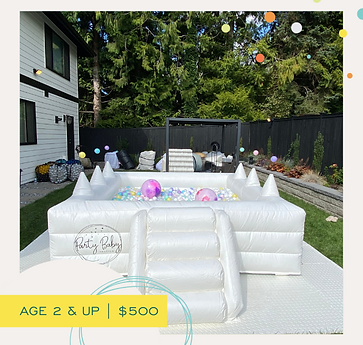 THE INFLATABLE BALL PIT