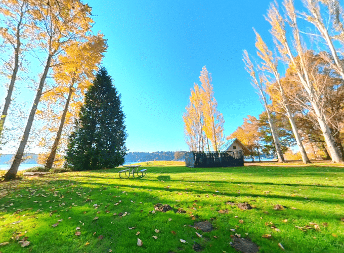 Newcastle Beach Park picnic area with tables, open lawn, and lakeside views in Bellevue, Washington