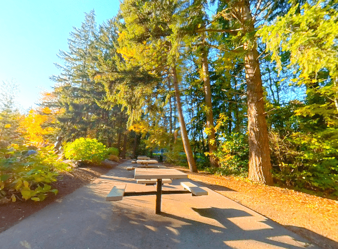 Robinswood Park picnic area with tables, grassy lawn, and tall trees in Bellevue, Washington