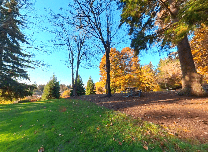 Wilburton Hill Park picnic area with tables, green lawn, and forest backdrop in Bellevue, Washington