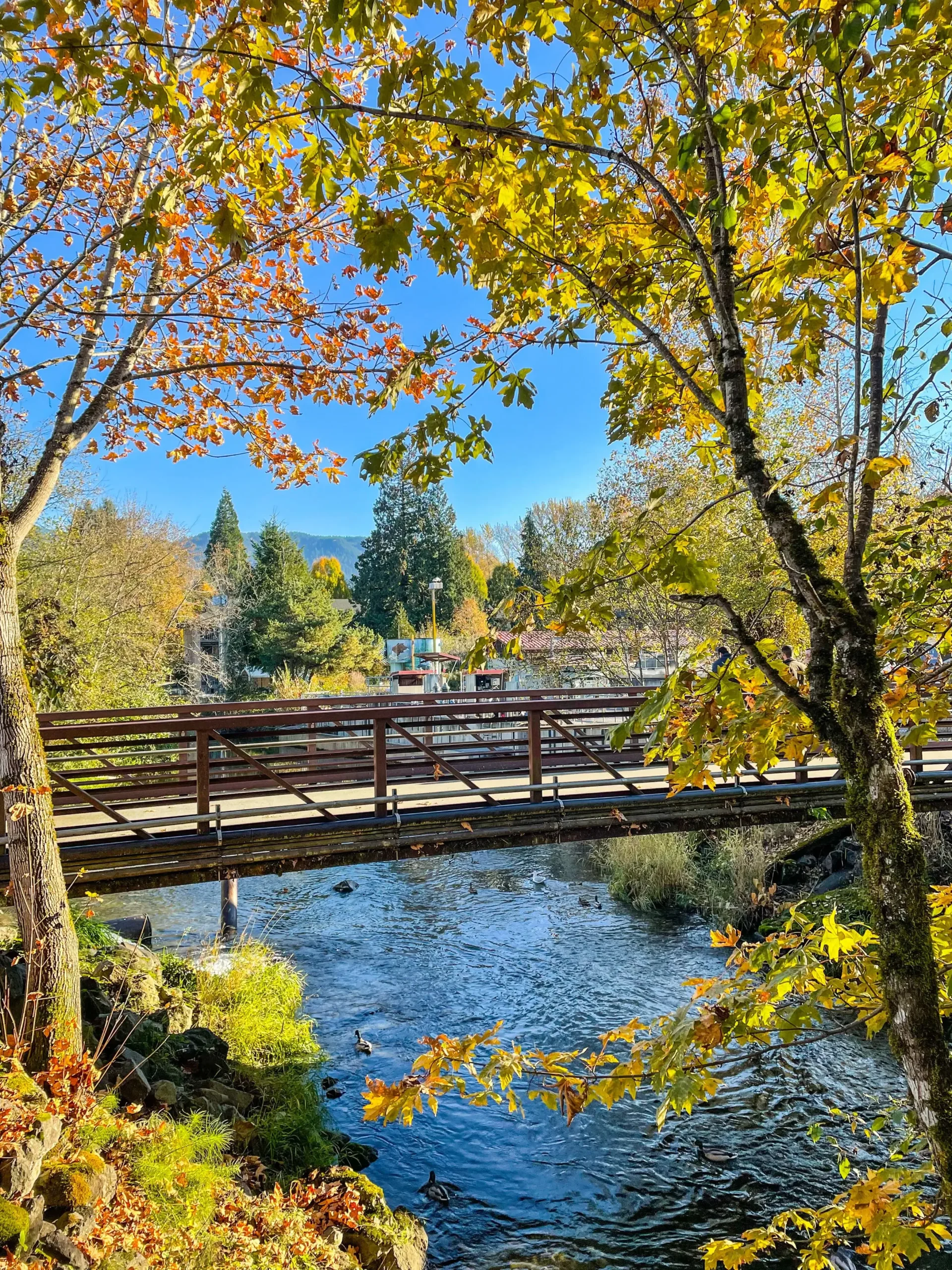 Issaquah