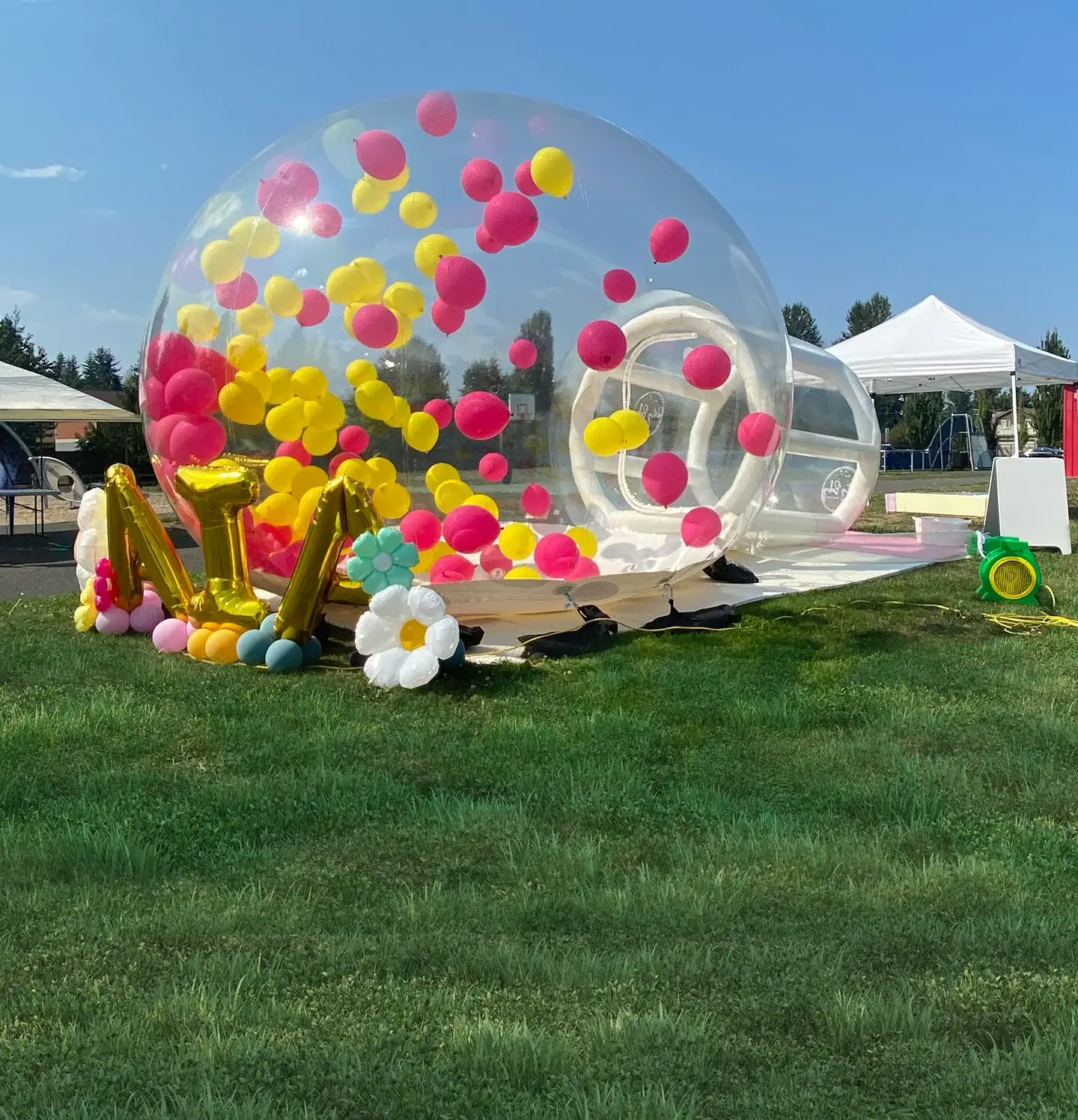 Important-Notes-bg-mobile (1)