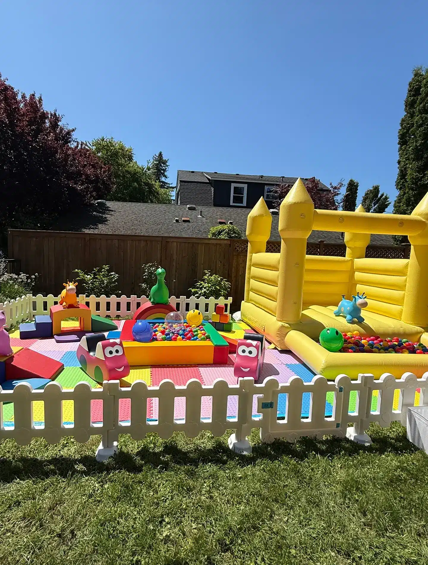 all-packages-promo-mob (1)