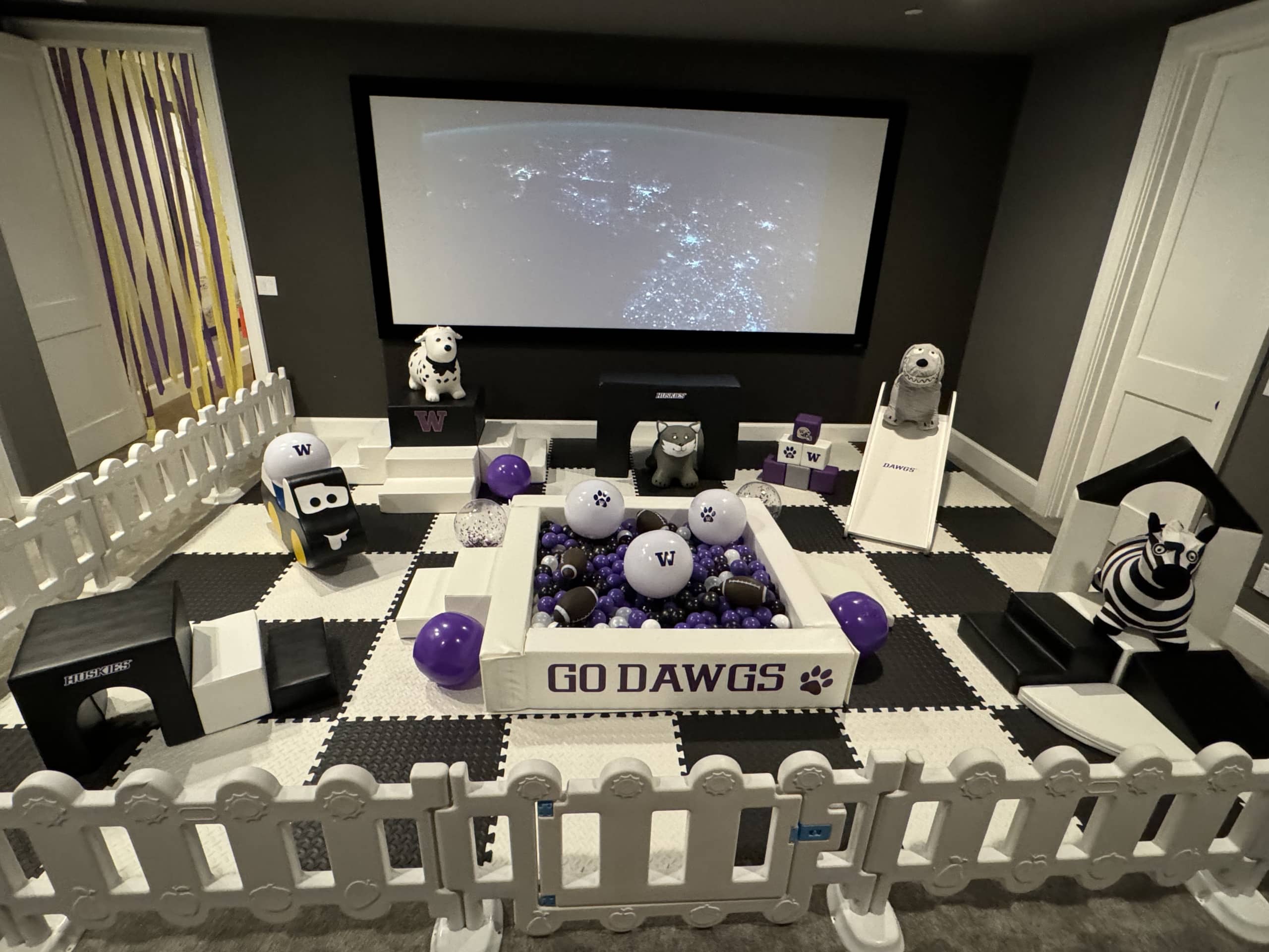 The Purple Reign soft play package
